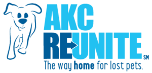 reunite-full-color-logo-400px